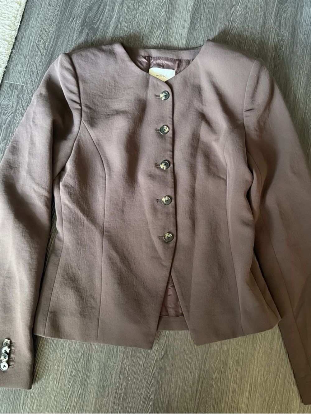 Aritzia Regal Blazer Jacket